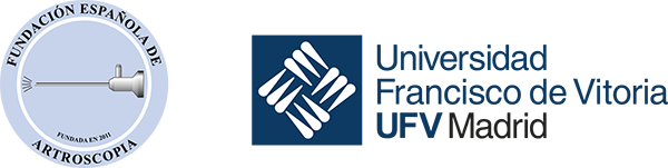 Logo FEA-UFV