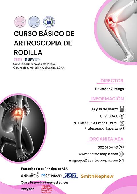 Curso Básico Artroscopia de Rodilla