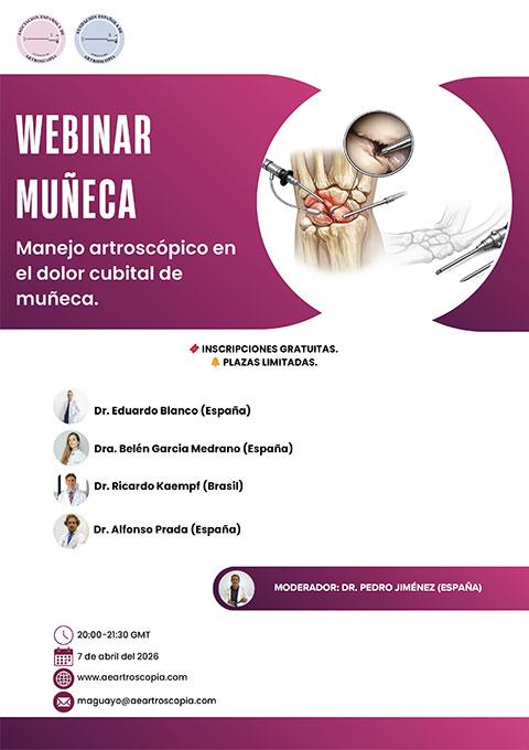 Webinar muñeca