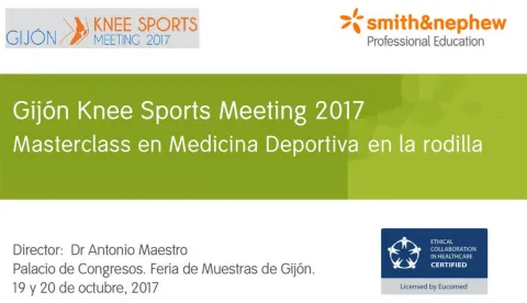 Gijón Knee Sports Meeting
