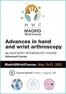 Advances in Hand and Wrist Arthroscopy
