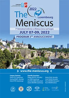 The Meniscus